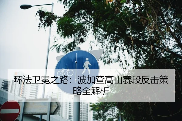 环法卫冕之路：波加查高山赛段反击策略全解析