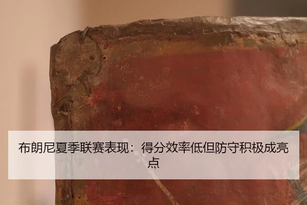 bu-lang-ni-xia-ji-lian-sai-biao-xian-de-fen-xiao-lv-di-dan-fang-shou-ji-ji-cheng-liang-dian-3-609.jpg
