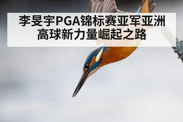 李旻宇PGA锦标赛亚军亚洲高球新力量崛起之路