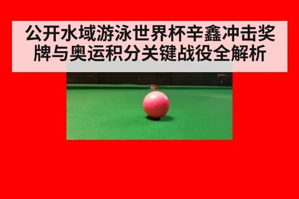 公开水域游泳世界杯辛鑫冲击奖牌与奥运积分关键战役全解析